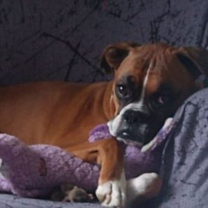 Meet your Posher, Scott